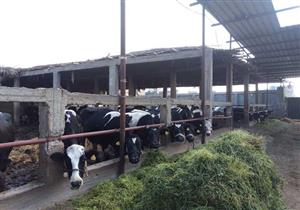 وزير الزراعة يوضح كيفية الاستفادة من 51 مزرعة مواشي متوقفة منذ سنوات