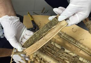 طفرة هائلة في تهريب الماريجوانا من أمريكا الشمالية لنظيرتها الجنوبية