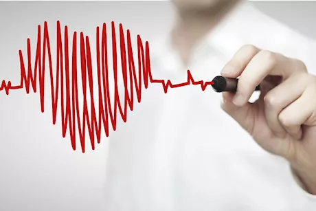 كيف يدعم النظام الغذائي النباتي صحة القلب؟              