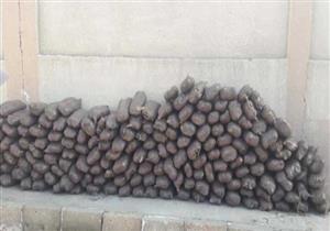 إحباط تهريب 400 كيلو بانجو داخل سيارة نقل بمنفذ الشاحنات ببورسعيد