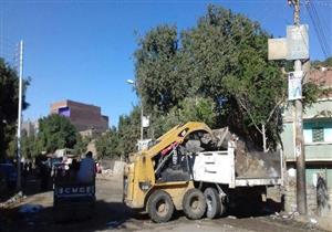 إزالة 51 حالة تعدٍ على أراضي زراعية وطرق بالمنيا