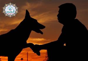 ملكة زرار عن الرفق بالحيوان وعدم قتلهم: أين الرحمة بالإنسان؟