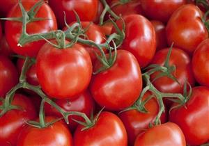 "الزراعة": تقاوي لجميع أنواع الخضراوات بأسعار مخفَّضة قريبًا