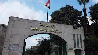 " بيهزر معايا وكلامه صح".. أول تعليق من باحث البحيرة على نقاشه مع وزير الزراعة