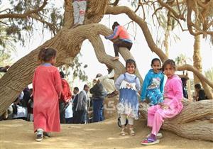 وزيرة السياحة: تواجد سفراء أجانب في عيون موسى رسالة سلام للعالم 