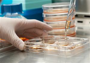 من «التربة».. اكتشاف مضادات حيوية لقتل البكتيريا المقاومة للأدوية