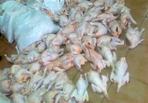 ضبط 288 كيلو لحوم ودجاج فاسد بالشرقية