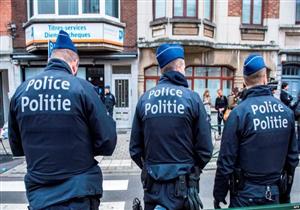 الشرطة البلجيكية تشن حملة للقبض على "الدجاج والديوك"