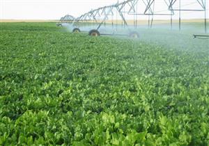 استصلاح 400 ألف فدان بمشروع الـ1.5 مليون فدان في الوادي الجديد