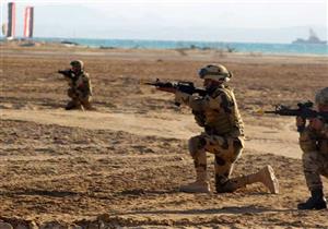 صحيفة إماراتية: "مصر تنتصر وستتمكن من اجتثاث وباء الإرهاب الخبيث"