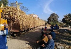 خروج قطار القصب في سوهاج عن القضبان
