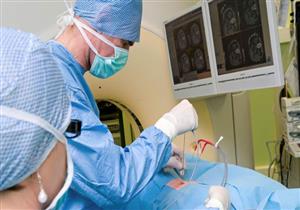 فأر يقود العلماء إلى أمل جديد في علاج السرطان