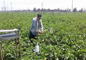 وحدة لتطوير الري الحقلي لـ4000 فدان في الأقصر