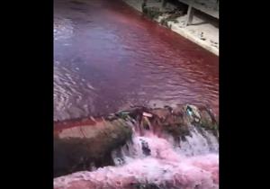 بالفيديو - نهر في لبنان يتحول إلى اللون الأحمر الدموي 
