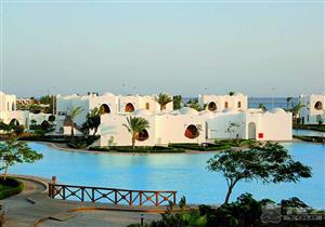 غرفة شركات السياحة تشكل لجنة للقضاء على "حرق الأسعار"