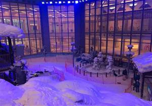 ماجد الفطيم: 10 بطاريق وصلت إلى "مول مصر" بعد رحلة طويلة من اليابان