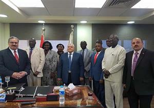 "الوطنية للانتخابات" تستقبل وفدا إفريقيا: نحرص على نقل خبرتنا للدول الشقيقة 