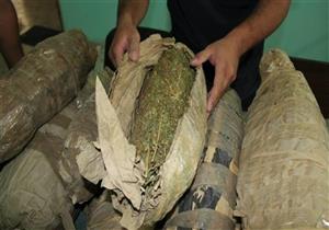 ضبط 10 كيلو "بانجو" بحوزة عامل بسوهاج