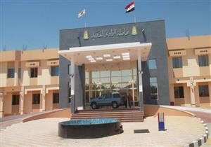 توصيل الكهرباء لغابتين شجريتين و3 مشروعات بالوادي الجديد بتكلفة 11 مليون جنيه