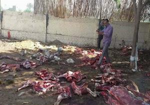 أمن الجيزة: تشميع مخزن لذبح الحمير لصالح السيرك القومي 