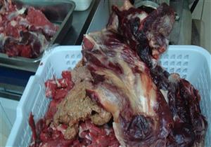 ضبط 2.5 طن أسماك ولحوم غير صالحة للاستهلاك الآدمي في شبرا الخيمة