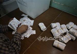 60 ألف صوت لـ"السيسي" في لجنة عامة بندر شبين الكوم