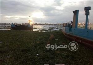 بالصور- أتت بها رياح العاصفة.. نباتات مائية تعطل حركة المعديات ببورسعيد