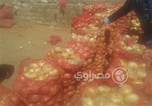 بعد فترة كساد.. ما سبب الارتفاع النسبي في أسعار "البصل" و"الثوم" بسوهاج؟