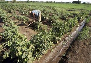 نقيب الفلاحين: إنجازات السيسي للفلاحين غير مسبوقة