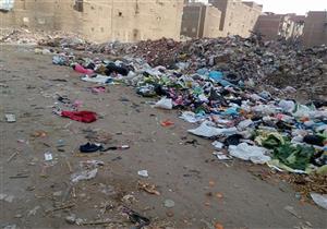 برلماني يتقدم بطلب إحاطة بشأن أكوام القمامة في المحلة 