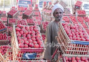 كيلو الطماطم بـ 5 جينهات.. أسعار الخضروات والفاكهة بسوق العبور 
