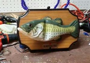 بالفيديو..سمكة تتحدث بصوت صاحبها وتعطي أوامر لآلة أخرى لتقول نكات