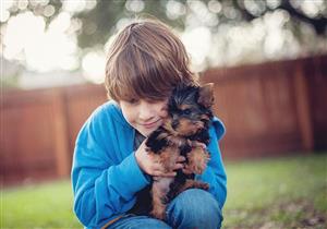 أمراض تسببها تربية الحيوانات الأليفة في المنزل.. كيف تحمي نفسك؟