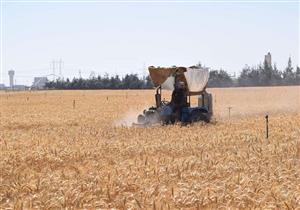  حصاد القمح في سوهاج.. "يا أبريل السعادة جتلنا بالخير"