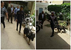 بالصور- تفتيش ديوان "تعليم سوهاج" بالكلاب البوليسية استعدادا للامتحانات