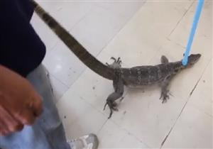 فيديو- "ورل" يقتحم مكتب موظفين