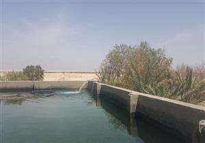 للمرة الثانية.. تأجيل استلام 78 موظفًا للعمل بـ"مياه جنوب سيناء"