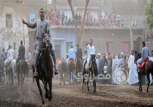 مولد الشيخ وافي.. لقاء الأحبة وصِراع الخيول في قنا (قصة مصورة)