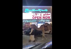 "فيديو.. سعودي يتجول داخل مجمع تجاري بـ"الجمل