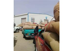توريد 128 ألف طن قمح لشون الدقهلية