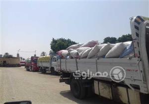 توريد 2100 طن قمح إلى الشون والصوامع في بورسعيد
