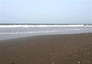 خليج عمان يتحول إلى "بقعة ميتة"