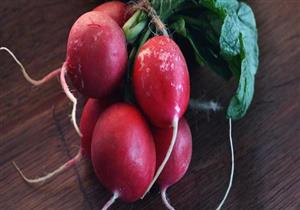 دراسة توضح فوائد الفجل الأحمر