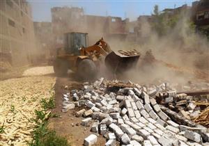 إزالة 12 حالة تعد على الأرض الزراعية في سوهاج