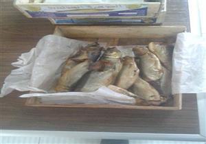 بالصور- ضبط طن رنجة فاسدة قبل طرحها في أسواق البحيرة