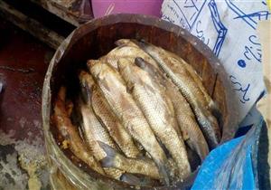 10 محاضر تموينية في حملات بمدينتي الطور ورأس سدر