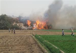 حريق 80 منزلًا بالصعيد وإغلاق طرق وموانئ وتأجيل امتحانات.. حصيلة العاصفة في المحافظات