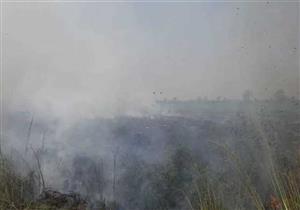 حريق بأرض فضاء في المنوفية يمتد إلى منزل وحظيرة ماشية