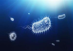 العثور على "أقدم فيروس بشري مكتشف" على الإطلاق