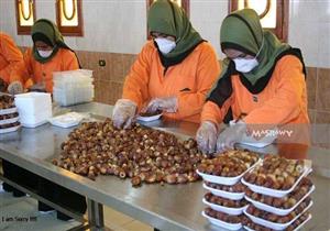 ضبط 5 أطنان بلح "مجمد" دون بيانات في الفيوم